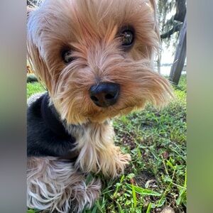 TAG LIST for LIVE SHOW!